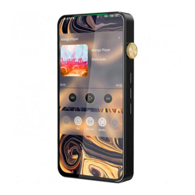 iBasso DX300